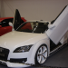 auditt-doors