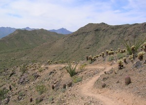 First Official Gangplank Rides – Gila 620